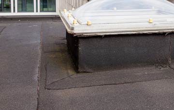 disadvantages of Portheiddy flat roofs