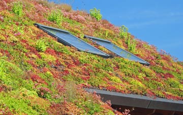 Portheiddy living roof systems