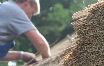 professional Portheiddy thatchers